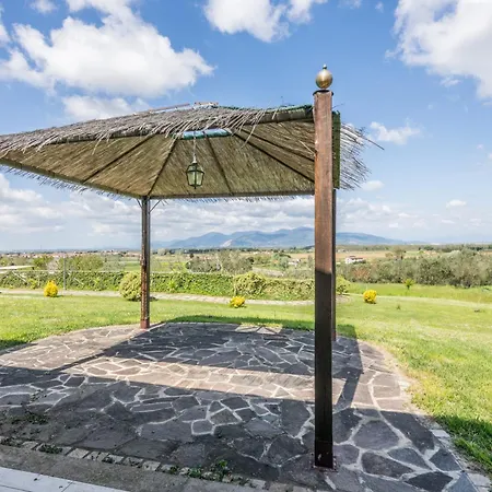 Degli Olivi *
