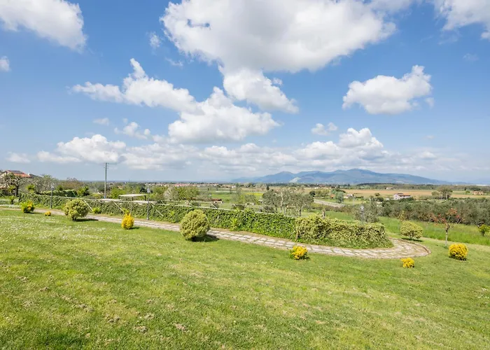 Degli Olivi Crespina
